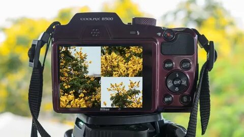 Фотография 500