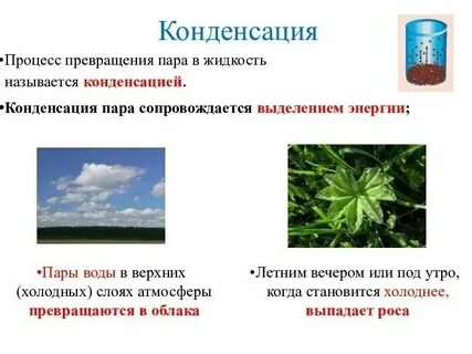 Предмет для конденсации паров в химии