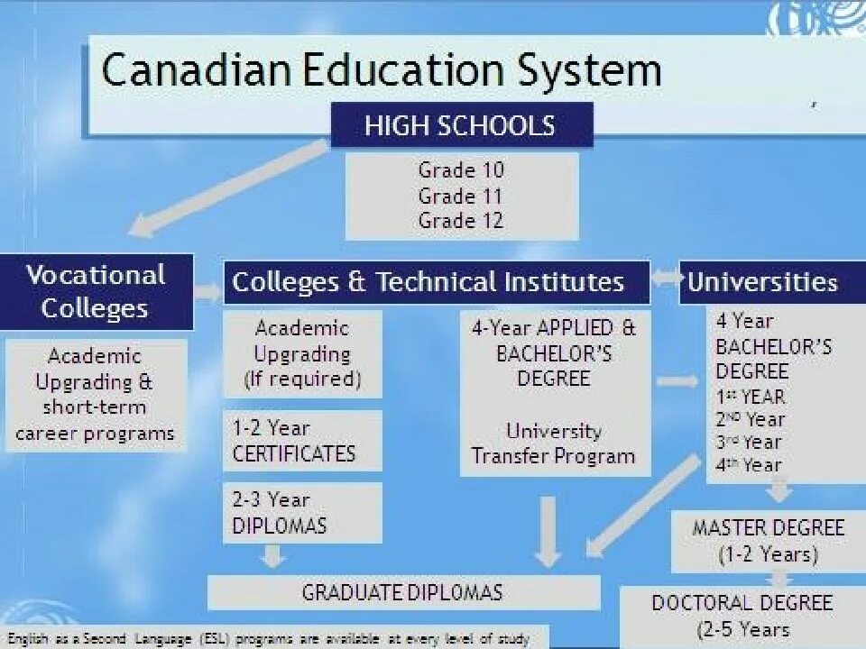 Andrew some educational programmes in english