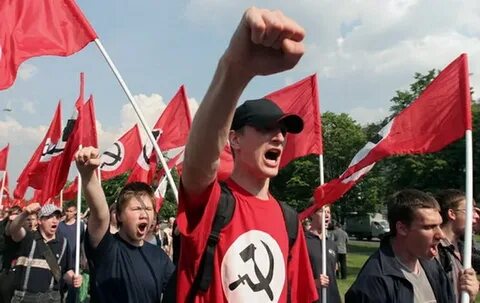 Национально большевистская партия