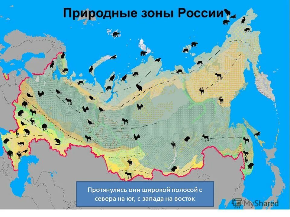 Природно хозяйственные зоны россии на карте цдз