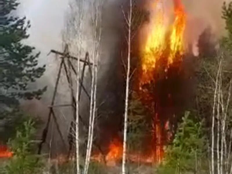 Верховой пожар. Верховые пожары. Пожар в лесу. Пожар фото.