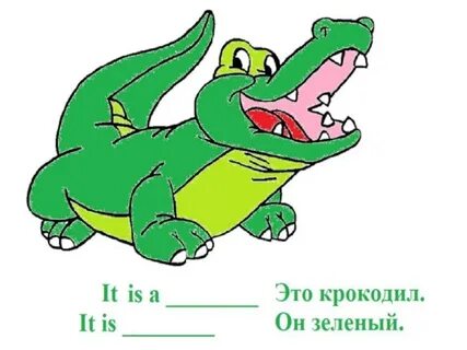 Крокодил 1 класс