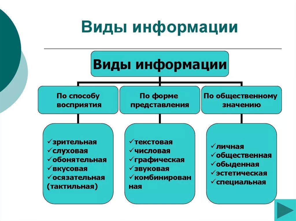 Информация существует в формах. Виды информации. Виды информации схема. Виды информации в информатике. Различные формы информации.