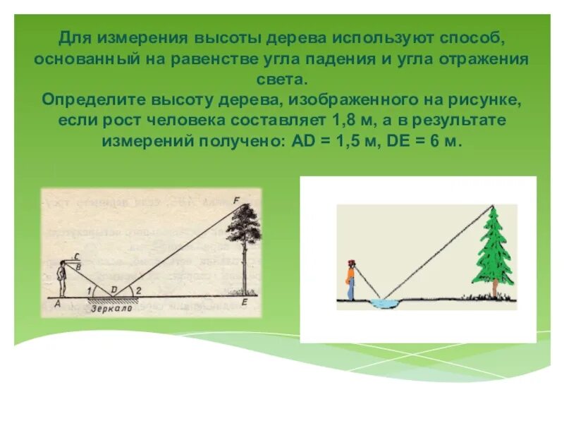 Получить высоту. Измерение высоты дерева. Прибор для измерения высоты дерева. Прибор определяющий высоту дерева. Высотомер для измерения высоты дерева.