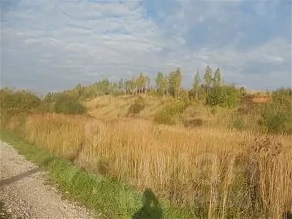 Бекетово отзывы