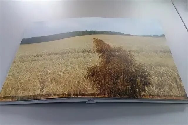 Типография август. Типография август