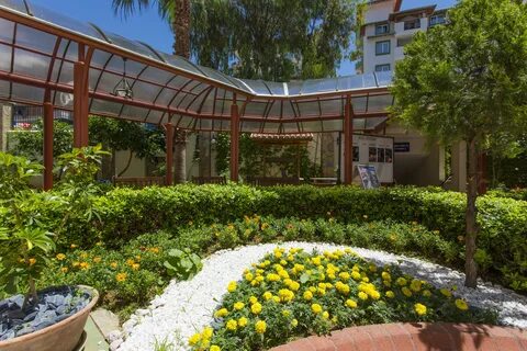 Villa sunflower beach hotel 4 отзывы
