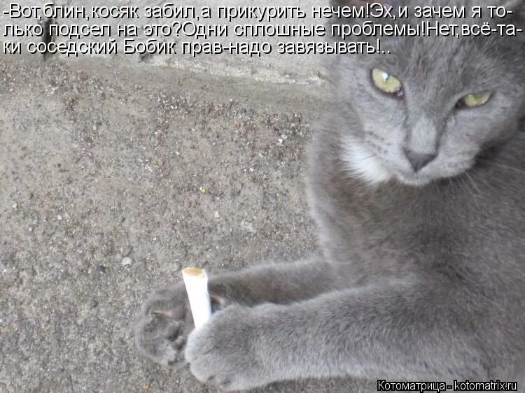 Анекдоты про нариков. Утром встану косячок забью. Утром встану косячок забью. Рано утром встану папиросочку достану и забью чудный косячок слушать. Утром встану косячок забью.