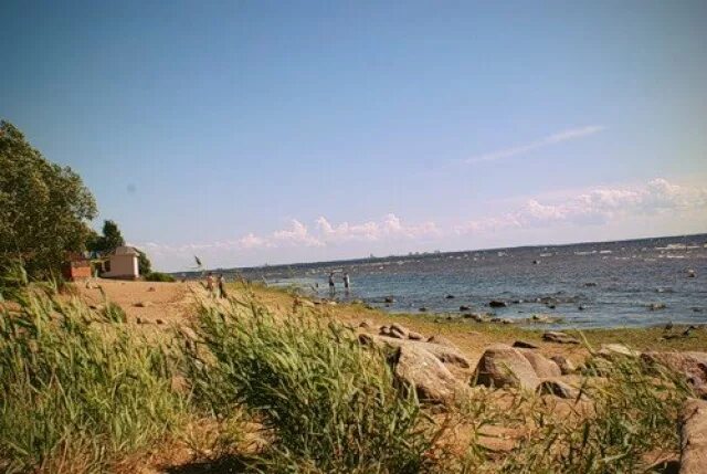 Комаровский Пляж в Санкт-Петербурге: Лучшие Фото Зеленая планета Фотогалерея при