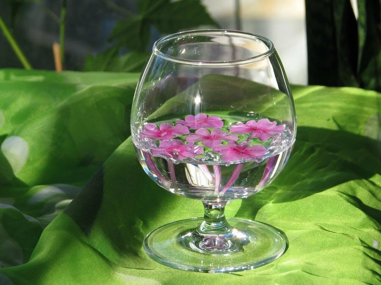 Цветы в фужере. Цветы в воде в вазе. Шикарный букет цветов и шампанское. Картинки бокал с цветами. Красивые бокалы.