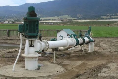 Water extract