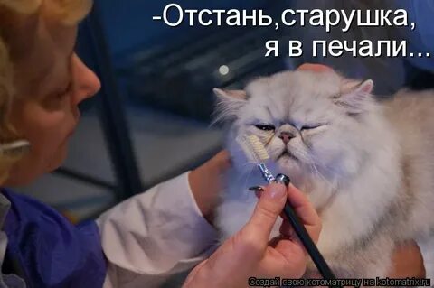 Отстань не приставай