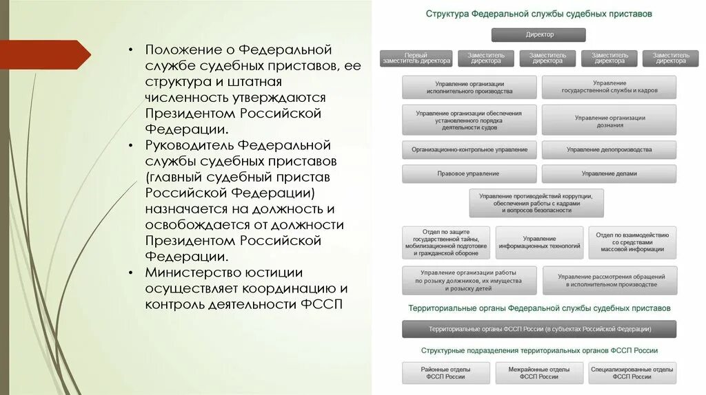 Полномочия главного судебного пристава. Структура отдела судебных приставов схема. Организационная структура судебных приставов схема. Организационная структура и деятельность службы судебных приставов.. Система и структура органов ФССП России.