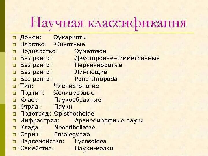 Презентация Класс: Насекомые
