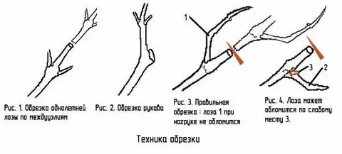 Как ее обрезать