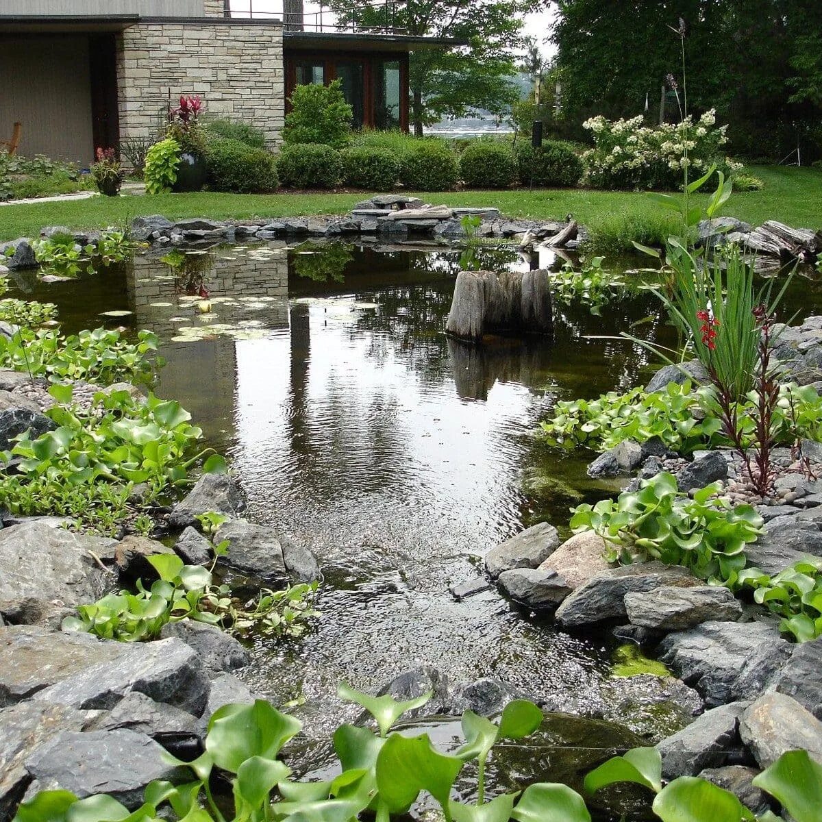 Обустройство дачного пруда. Приснился водоём. Приснилось озеро. Снится водоем. Сонник водоем.