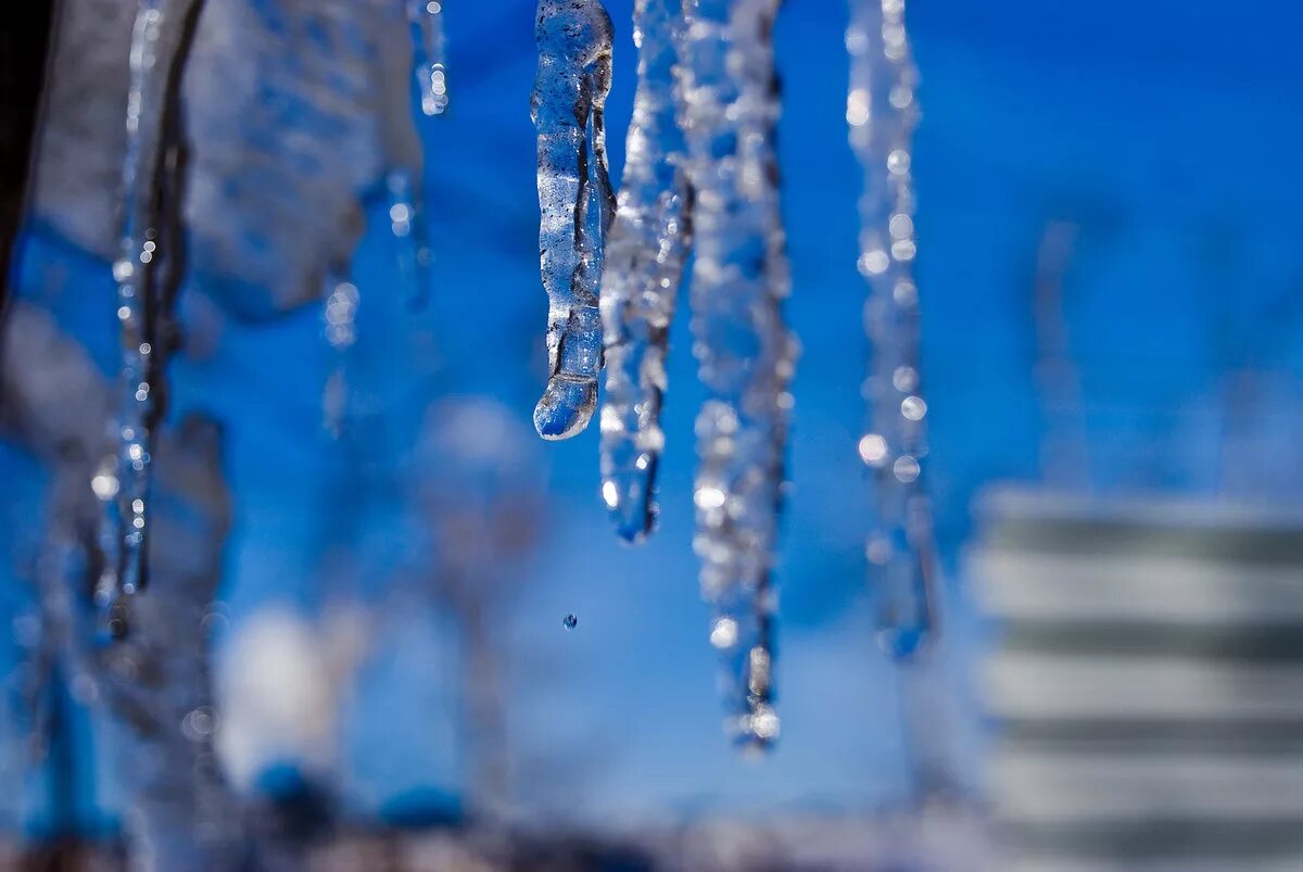 капель. капель что это такое. капель что это такое. весенняя капель. сосульки весной.
