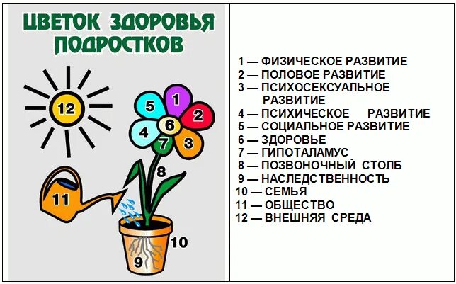 Тест охрана здоровья и подростков