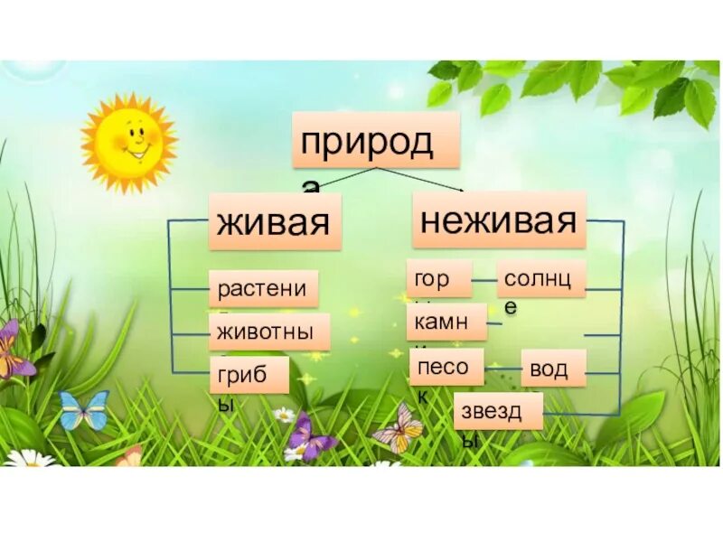 Виды природы 2 класс