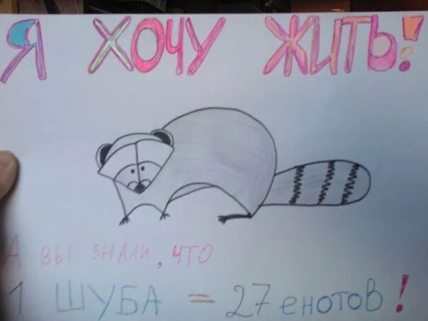 Берегите животных карандашом. Плакат на свободную тему. рисунок плаката на любую тему. плакат берегите животных. плакат берегите животных 3 класс.