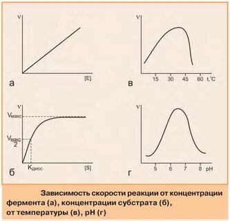 Какая зависимость скорости