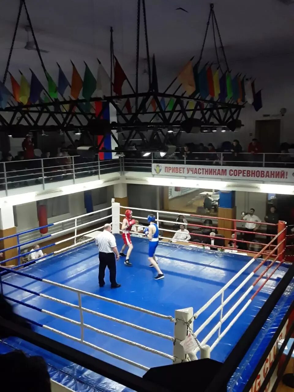 Бокс суворовское. Сибиряк ангарск бокс. Управление спортивных сооружений республики марий эл. Бокс суворовское. Пензенские боксеры.