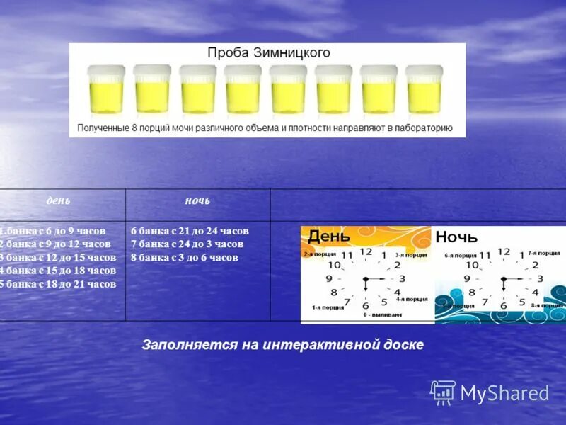 Можно мочу ставить в холодильник. Сбор мочи по Зимницкому для лабораторного исследования. Проба Зимницкого и Нечипоренко. Исследование мочи по Зимницкому алгоритм. Зимницкого проба Зимницкого.