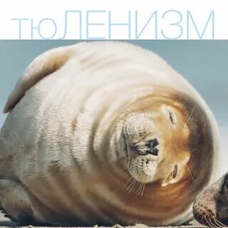Морской жир