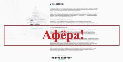 Есть в этой компании