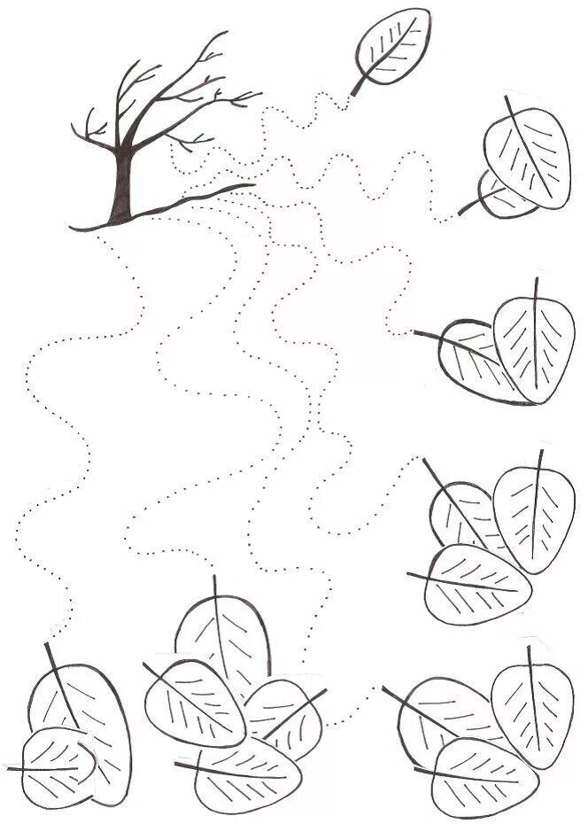 Let's take a walk in the woods and meet its ! residents Consider plants, gather 