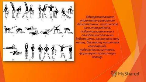 Порядок выполнения общеразвивающих упражнений