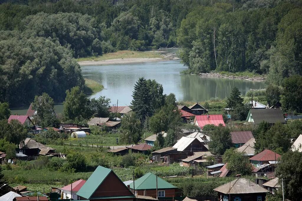 Алтайский край деревня Сростки Родина Шукшина. Село Сростки Алтайский край Шукшин. Река Катунь Сростки Алтайский край. Деревня Сростки Шукшин. Сростки погода бийского алтайского края