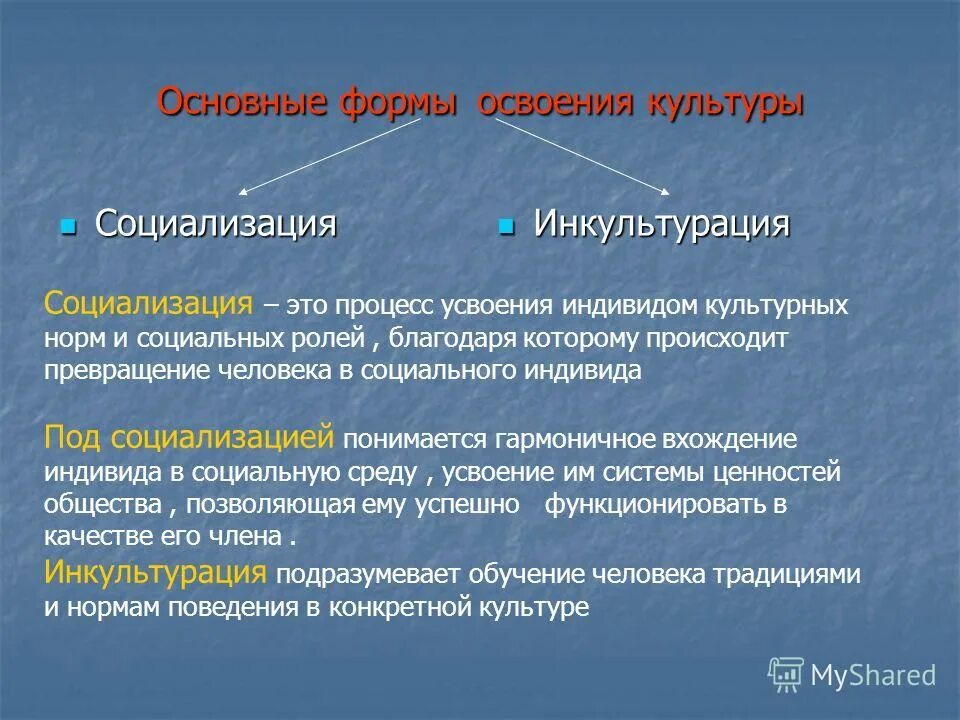 Что является общей культурой человека