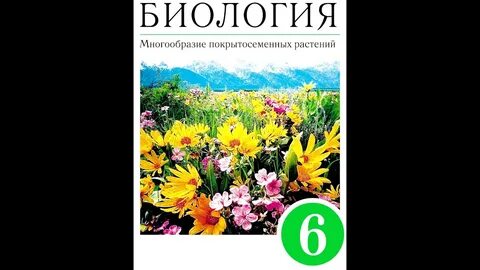 Презентация органы растений 6 класс биология пасечник