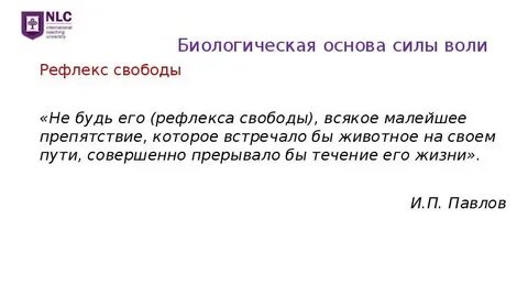 Малый всякое