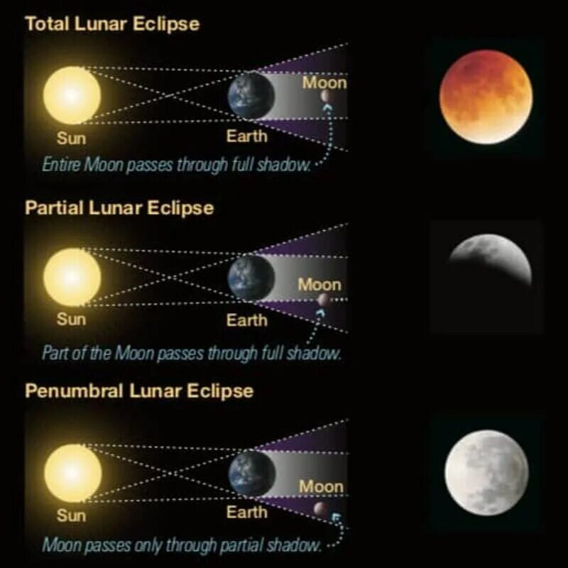 Slide expressão lunar. Solar and Lunar Eclipse. Solar Eclipse and Lunar Eclipse. Eclipse/Lunar шип. Лунное затмение схема.