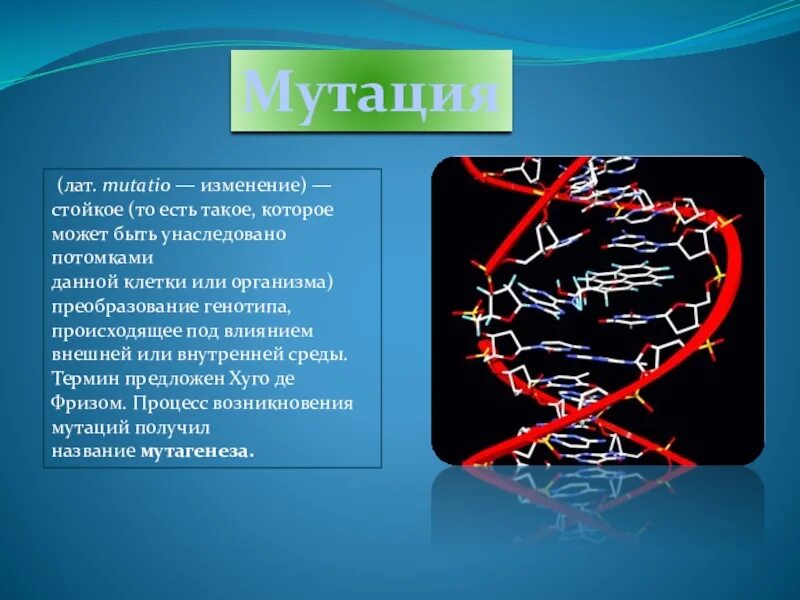 Мутация это стойкое изменение. Мутации человека презентация. Мутация это в биологии.