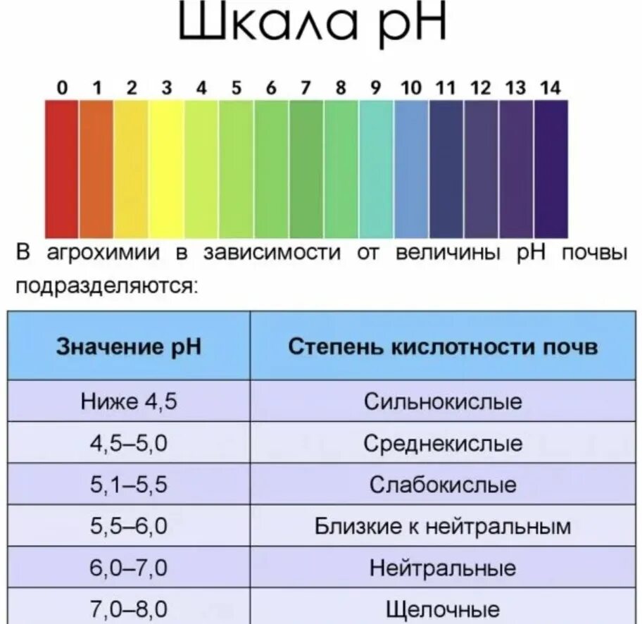 Таблица ПШ кислотности для почвы. Шкала кислотности и щелочности почвы. Кислотность почвы PH. Таблица РН кислотности почвы. Посадки кислотность