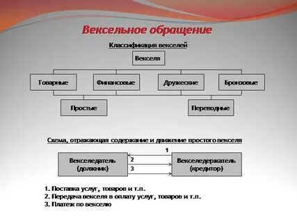 К видам векселя относятся