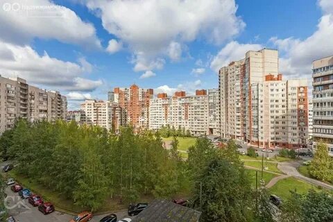 Камышовая д 50