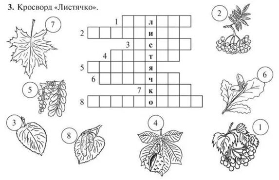 Кроссворд листья деревьев. Деревья задания для дошкольников. осень задания для дошкольников. осенние кроссворды для дошкольников. кроссворд деревья.