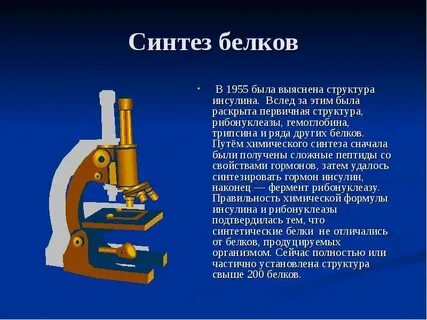 Белки не синтезирующиеся в организме называются