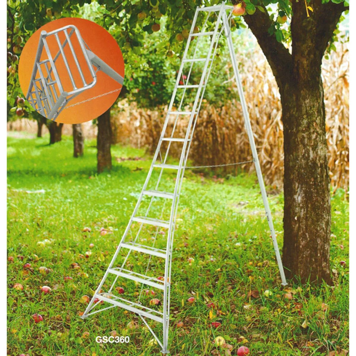 Ladder 10