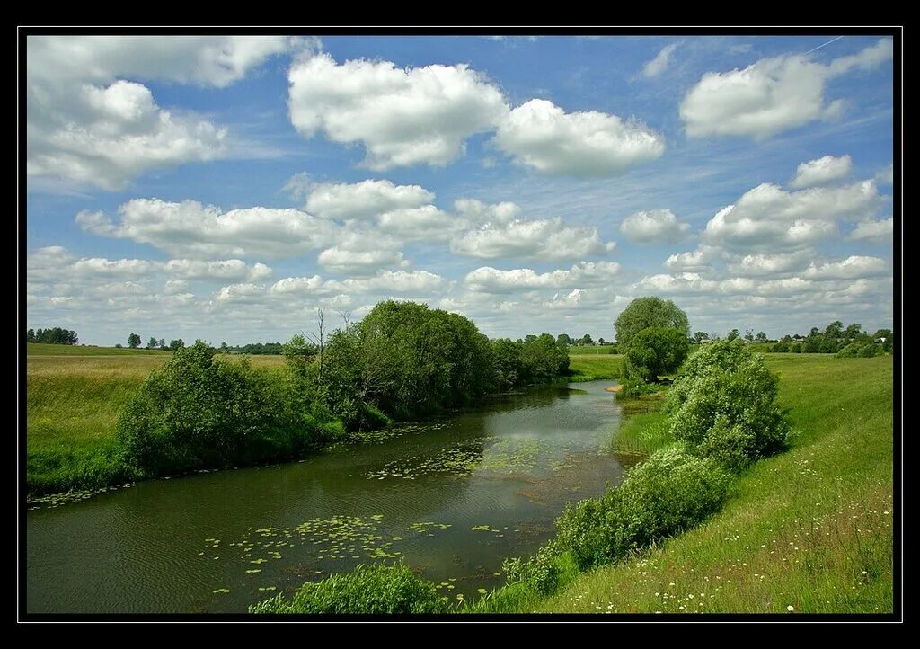 высокушинское озеро красный холм. река красный холм. красный холм деревня васильки тверская область. красный холм река неледина. река лойка тверская область.