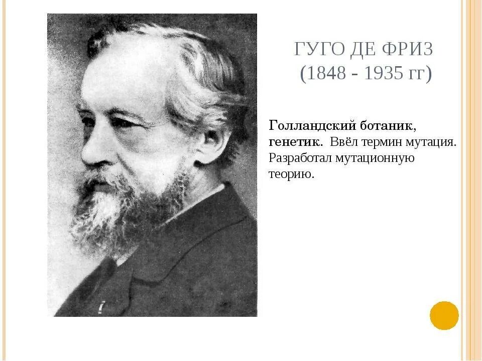 Гуго де. Хуго де фриз нидерландский биолог. гуго де фриз вклад в биологию. де фриз генетика. гуго де фриз мутация.