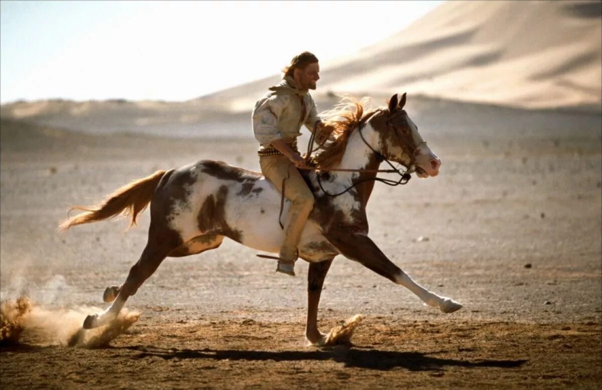 Blocking the horse. Идальго. Погоня в пустыне (2004). Вигго Мортенсен Идальго.