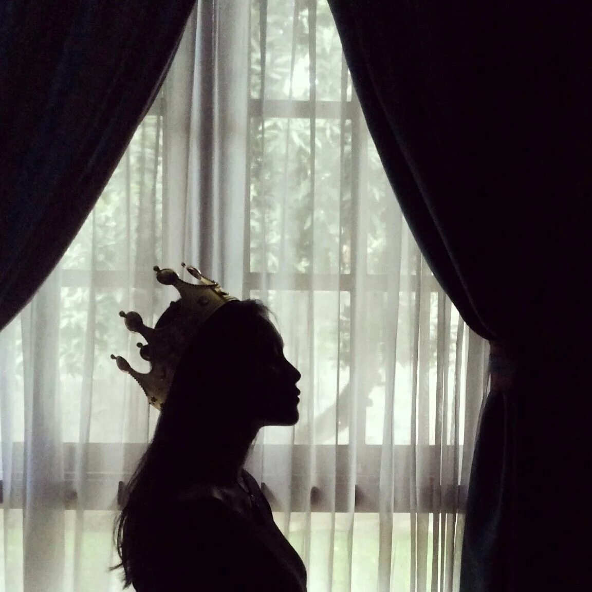 Не волнует что скажет стая. Девочка в короне Эстетика. Тень девушки с короной. Эстетика королевы.