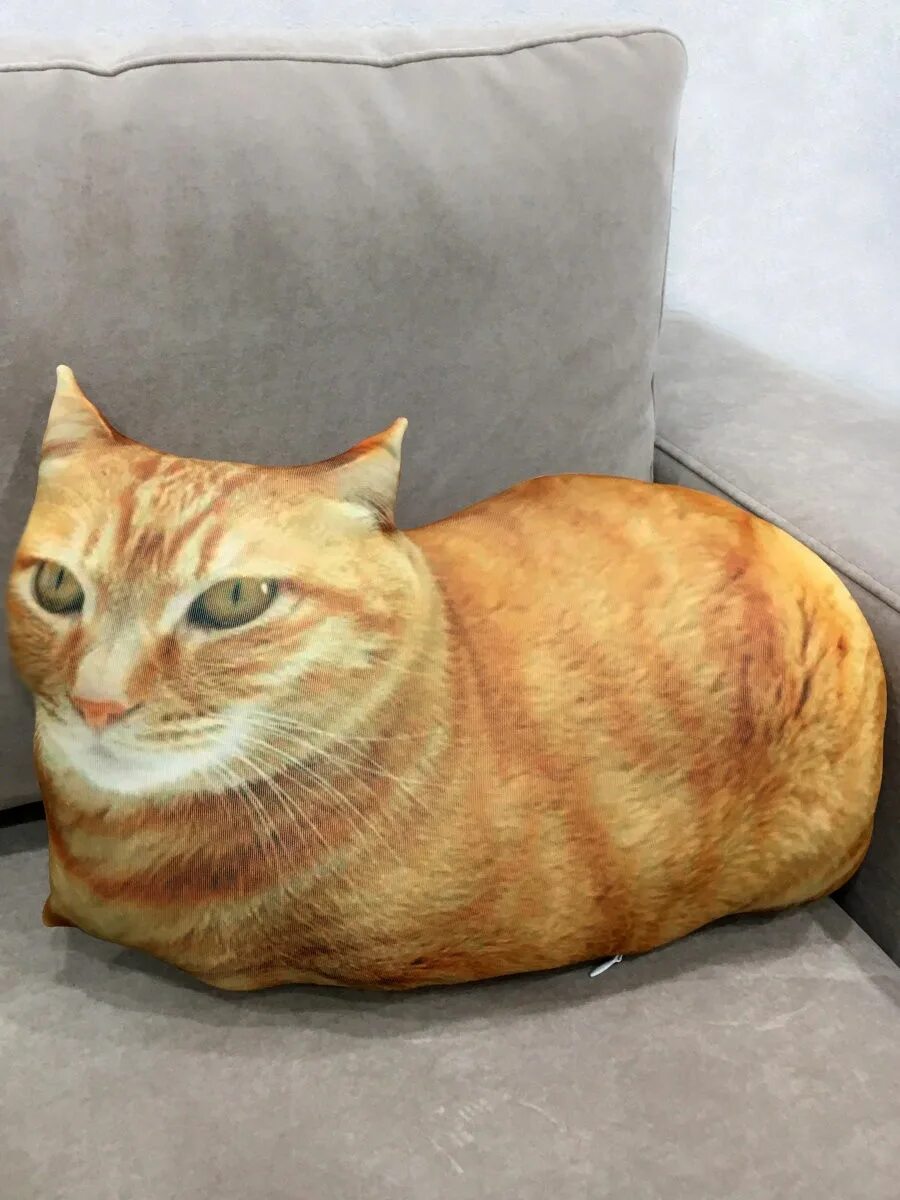 Подушка рыжий кот. Игрушка подушка рыжий кот. кот рыжий подушка длинная. pwgood кот.