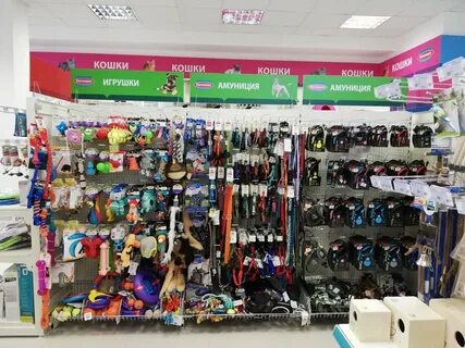 Зоомагазин белгород
